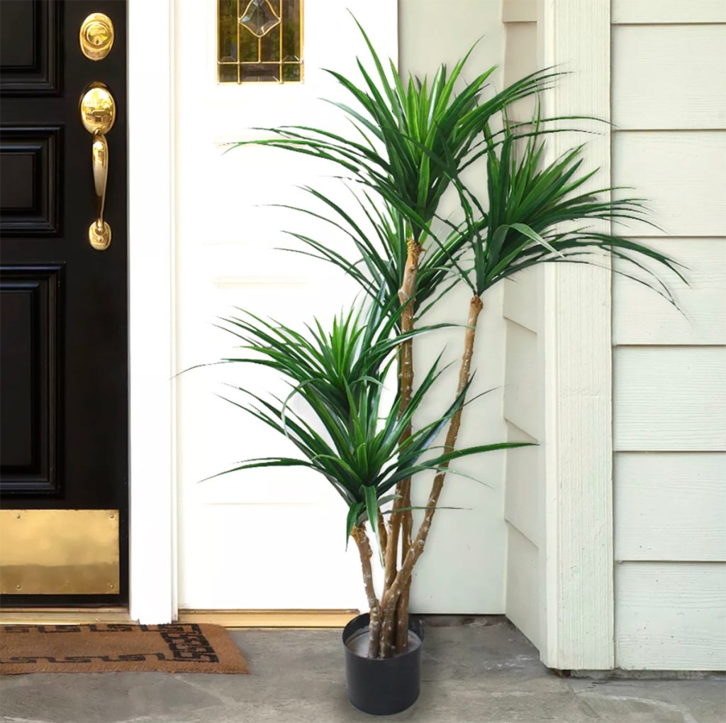 yucana artificial tree by front door 